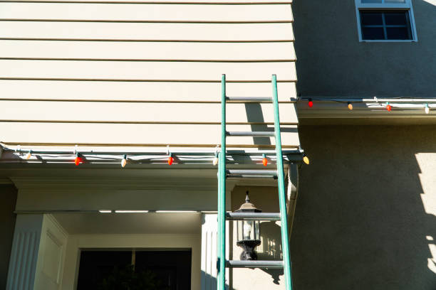 Best Dumpster Rental Services  in Paramount, CA